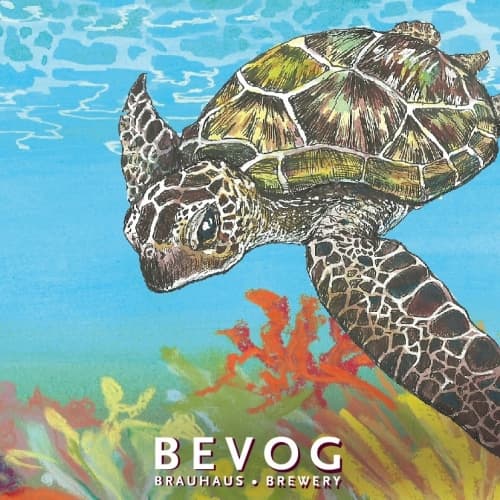 Extinction Is Forever!: Hawksbill Sea Turtle