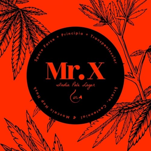 Mr. X