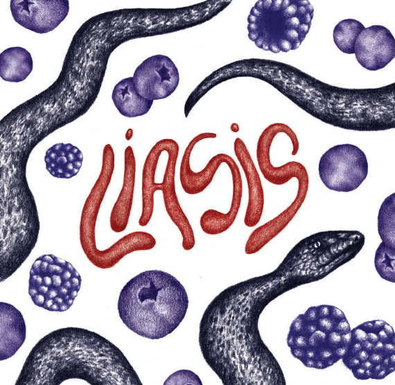 Liasis