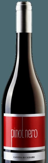 Pinot Nero