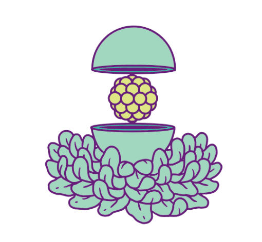 Soleil Sour Farmhouse (2018)