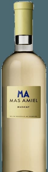 Muscat