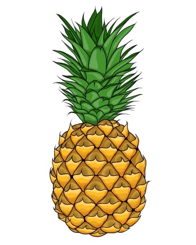 Moms Pineapple Pie