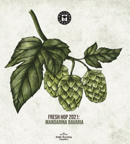 Fresh Hop 2021: Mandarina Bavaria
