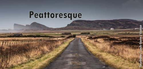 Peattoresque