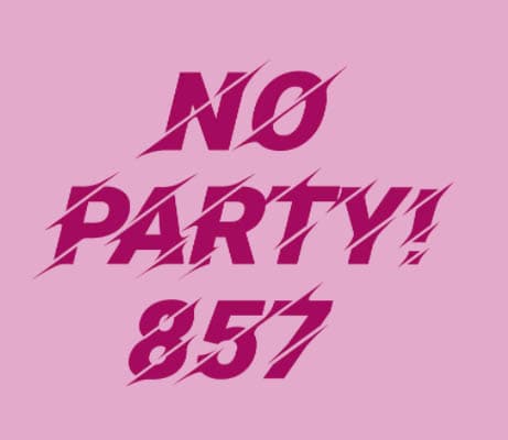 No Party! 857 Honey Peach Sour IPA