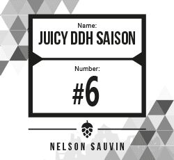 Prototype #6 Juicy DDH Saison
