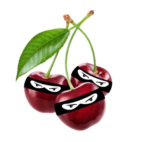 Ninja Squad Ginja Quad
