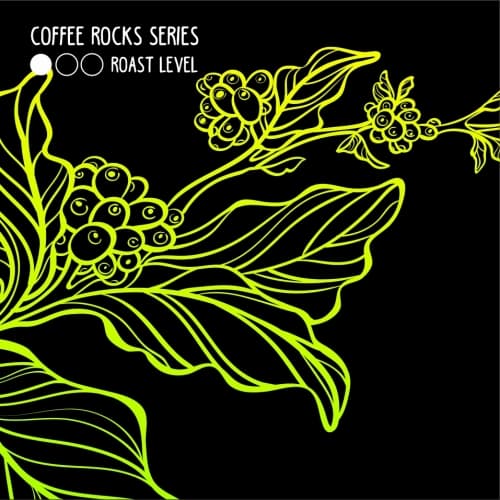 Castles of Gondar (BBA Coffee Rocks Series)