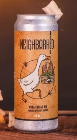 Neighborhood Goose