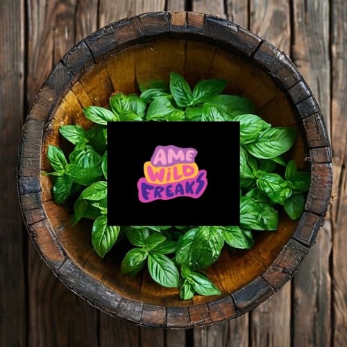 Spontane Basil