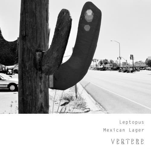 Leptopus