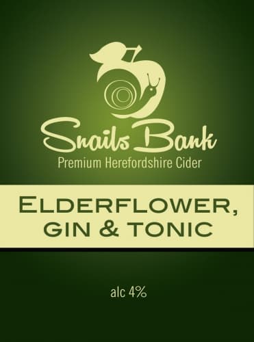 Elderflower Gin And Tonic