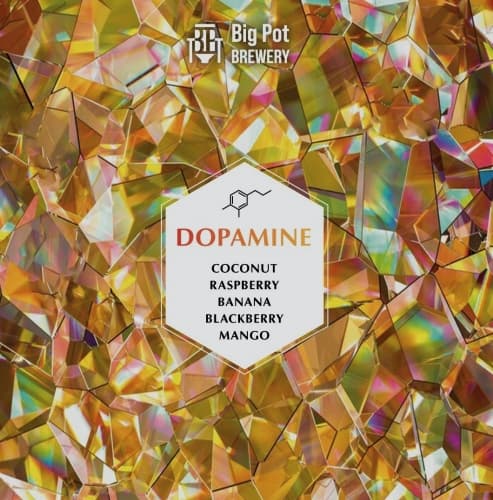 DOPAMINE: Coconut & Raspberry & Banana & Blackberry & Mango