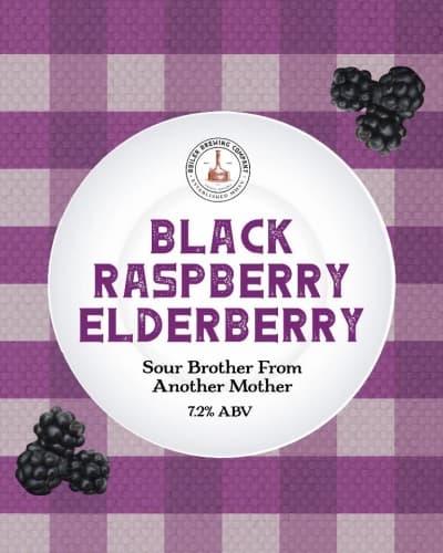 Black Raspberry Elderberry Sour Brother From Another Mother