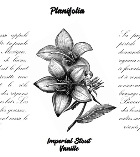 PLANIFOLIA