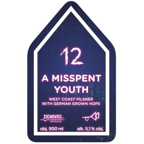A Misspent Youth 12