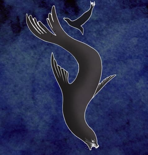 Lobo Marino