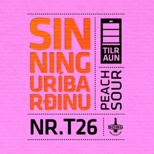 SINNINGUR Í BARÐINU NR.T26