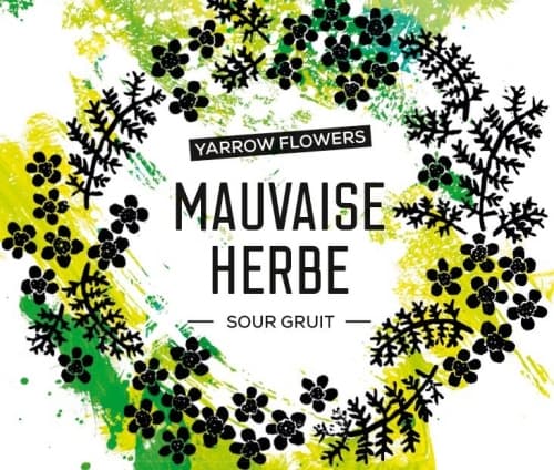 Mauvaise Herbe - Yarrow Flowers