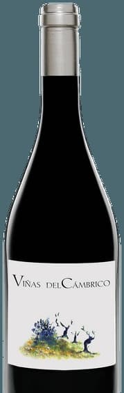 Viñas del Cámbrico