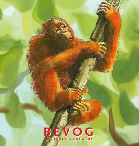 Extinction Is Forever!: Orangutan