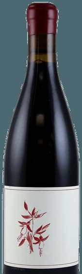 Que Syrah Vineyard Syrah