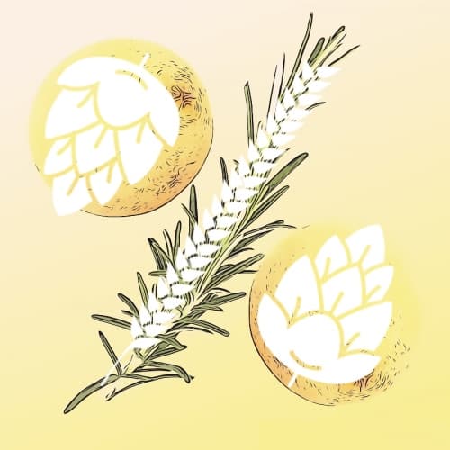 No Rynd or Reason (Cantaloupe & Rosemary)
