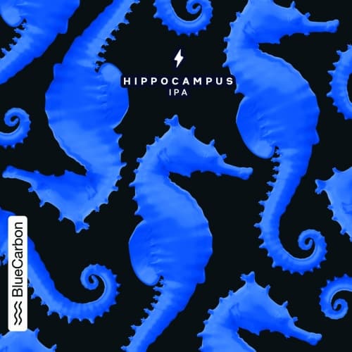 HIPPOCAMPUS