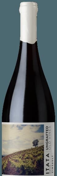 Ungrafted Old Vines Cinsault