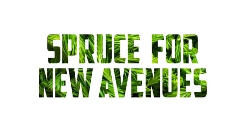 Spruce For New Avenues (2022)