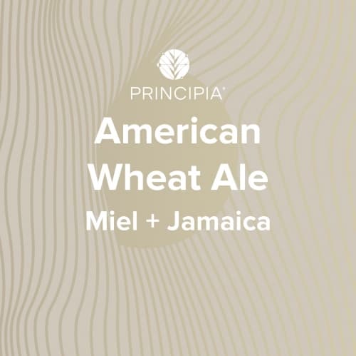 American Wheat Ale Con Miel Y Jamaica