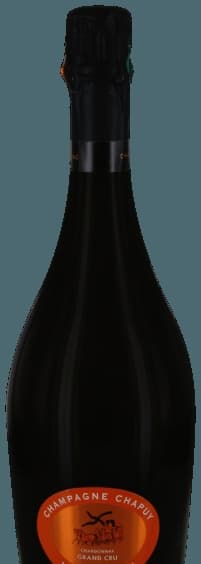 Unique Brut Nature Champagne Grand Cru 'Oger'