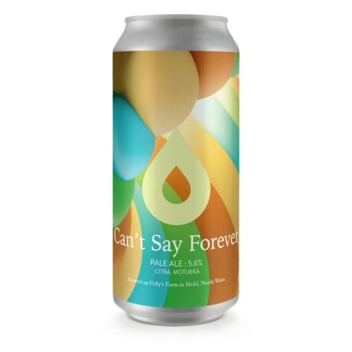 Can’t Say Forever