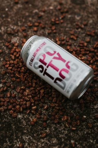 Little Ballard Milk Stout