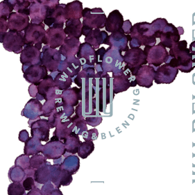 St Walter 2022: Gamay, Ravensworth