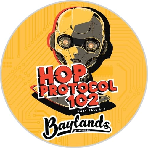 Hop Protocol 102