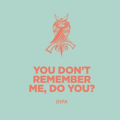 You Don't Remember Me, Do You?