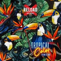Tropical Color: Feijoa & Lime