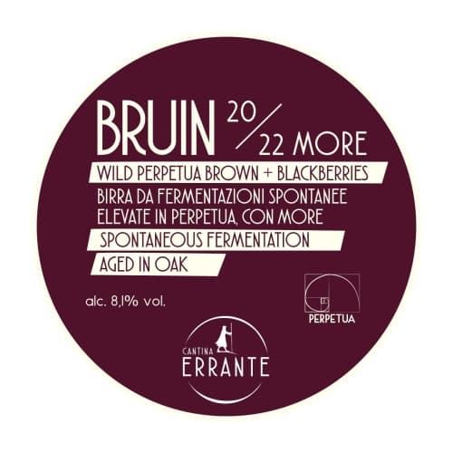 Bruin 20/22 More