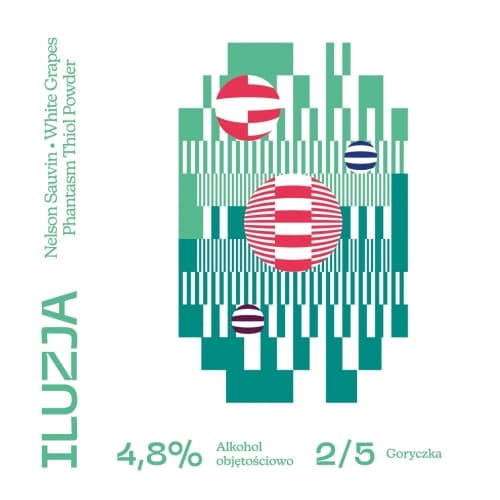 ILUZJA - New Zealand Sour Ale