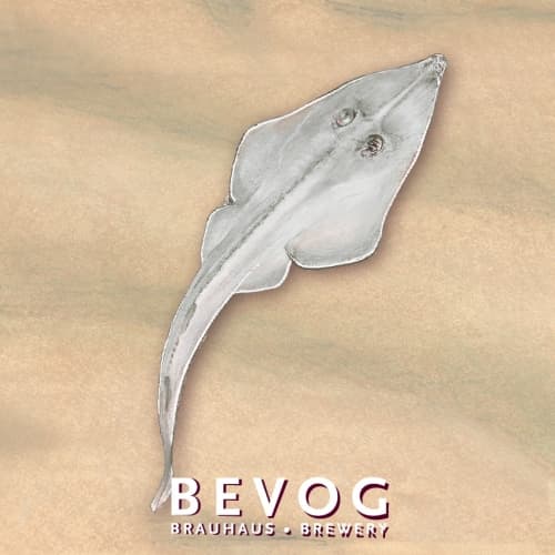 Extinction Is Forever!: Common Guitarfish