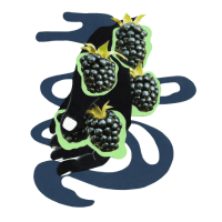 Fruit Salad Days Blackberry & Raspberry