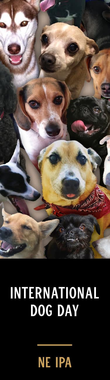 International Dog Day