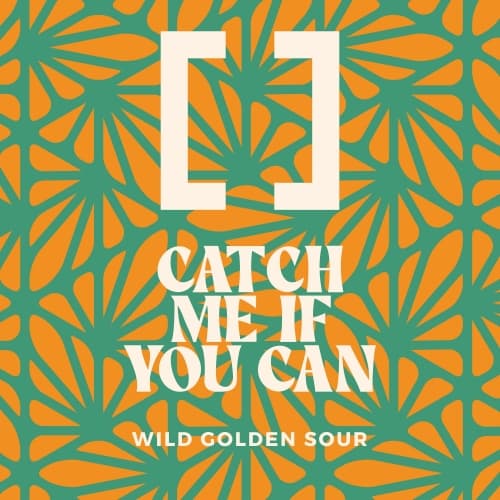 Catch Me If You Can