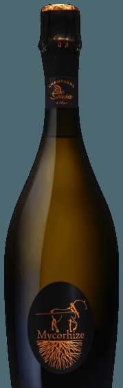 Mycorhize Extra Brut Champagne Grand Cru 'Avize'