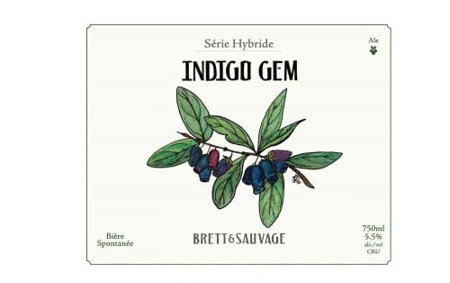 INDIGO GEM V3