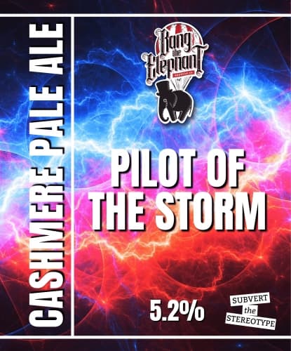 PILOT OF THE STORM