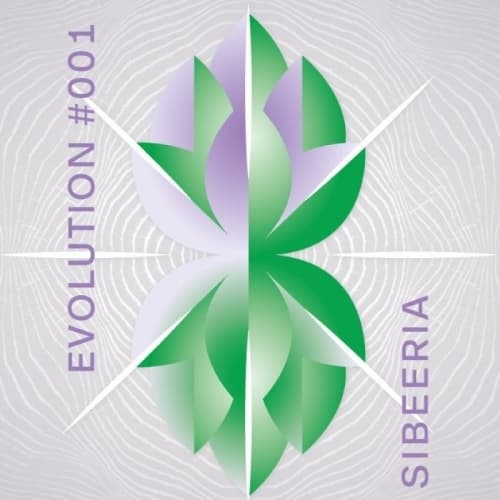 Evolution #001 (NŠH15)