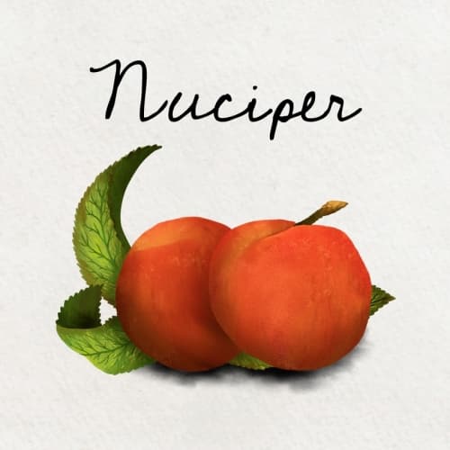 Nuciper
